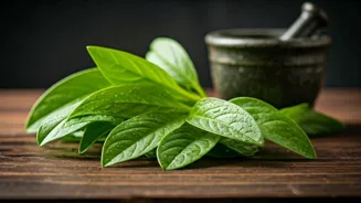 Bathua: An Indian Super Green For Your Health