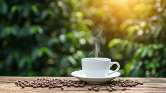 Coffee Lovers Should Visit These Destinations.
