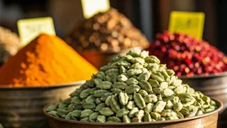 Explore India's Unique Local Adventures Now!