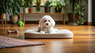 Low-Shedding Dogs: A Clean Home And Happy You