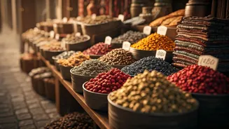 Exploring India: Travel Insights
