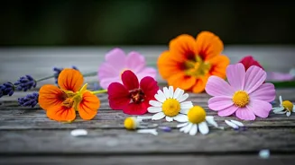 Eat Flowers: Lavender, Rose Petals, and More!