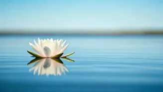 Find Inner Peace Through Forgiveness.