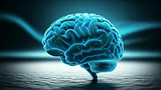 Exercise boosts brainpower by producing BDNF.