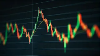 Stock Market: Who Gained, Who Lost, and Why?