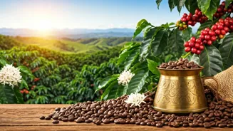 Costa Rica Coffee Tours Await Indian Travelers