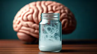 Brain Fog Unveiled: Symptoms and Solutions