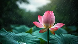 Monsoon Acne: Causes, Diet Tips to Avoid It