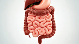 Study Examines Kids' Ongoing Stomach Problems