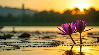 Start Fresh: Heal Your Heart With These Tips