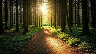 Walk 45 Minutes for Improved Health Today