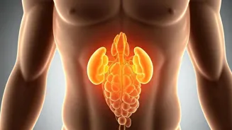 Stress: The Culprit Behind Your 'Cortisol Belly'