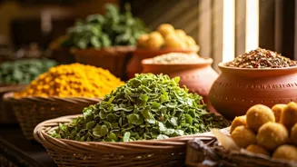 Boost Memory: 7 Herbs To Fuel Your Brain
