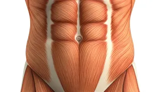 Slim Down: 7 Daily Habits for a Flat Stomach