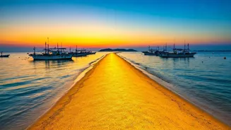 Explore Jindo Island's Amazing Sea Parting!