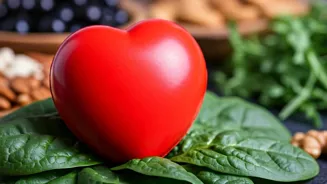 A Healthy Heart: Change Your Lifestyle Today