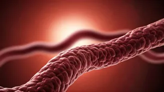 Healthy Blood Vessels May Lower Dementia Risk