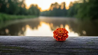 Breakups: Finding Yourself After Love and Loss