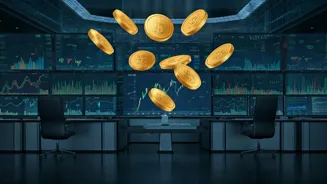 NSE and BSE: Market Updates and Top Gainers
