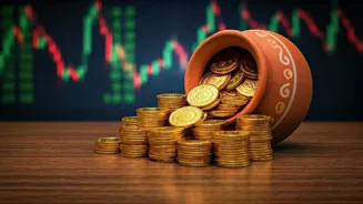 Vikram Solar IPO: What You Need To Know