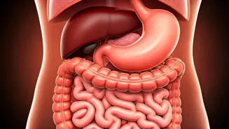Feeling Bloated After Flying? Unraveling Jet Belly
