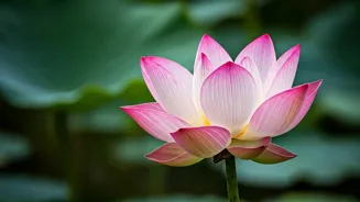Heal Your Heart: Find Self-Love After Breakup