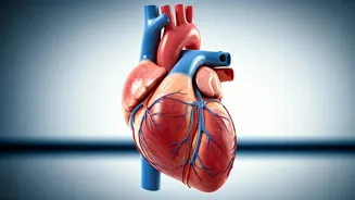 Strengthen Your Heart With These Daily Habits