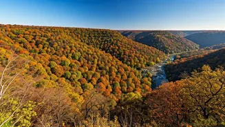 Visit Madhya Pradesh in October 2025!