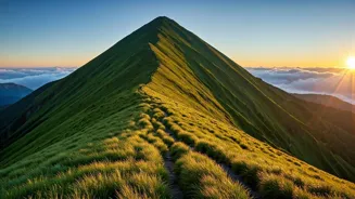 7 Qualities to Success: Your Path to Greatness