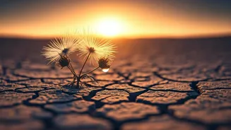 India's Drought Declarations: Govt's Strategy