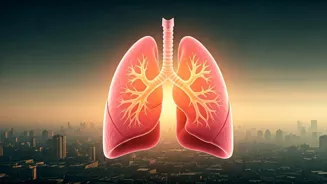 Smog and Lifestyle Hurt Lungs, Study Finds