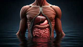 Overdoing Exercise: How It Backfires on Your Body