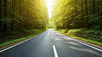 Reclaim Your Life: 7 Steps to Start Fresh