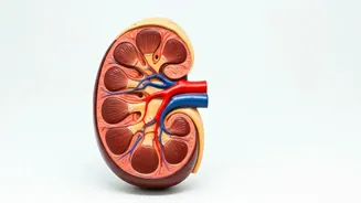 Do These 3 Exercises To Lower Uric Acid