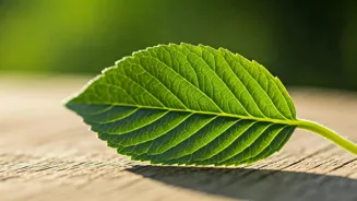 Control Blood Sugar Naturally With These Tips