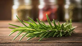 Rosemary Boosts Brain Function, Study Shows