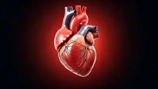 Want a Stronger Heart? Try These Supplements.