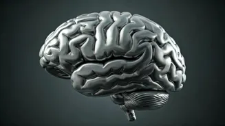 The Billionaire Brain: What Sets It Apart
