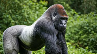 Meet Nature's Titans: 11 Strongest Animals!