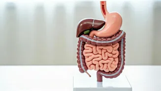 Eating Habits: The Impact of Speed on Your Health
