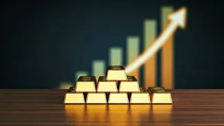 Top Funds For Indian Stock Market Investors