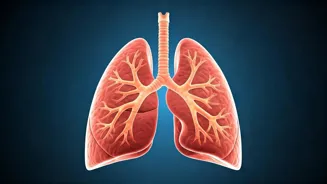 Boost Your Lung Capacity With These Exercises