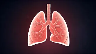 Breathe Better: 5 Ancient Health Secrets