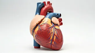 High Blood Pressure? Avoid These Yoga Poses.