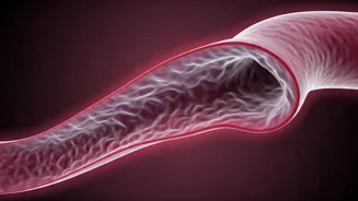 Clean Arteries Naturally in 5 Simple Ways