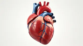 Boost Your Heart Health With This Simple Guide
