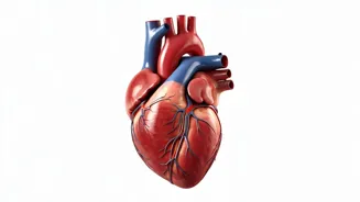 Supplements Can Improve Your Heart Health