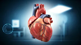 Heart Health: 6 Expert-Recommended Supplements