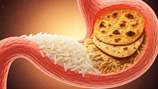 Is Roti or Rice Better for Evening Digestion?