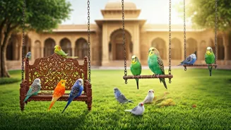 Ten Birds Are Perfect For Beginners!